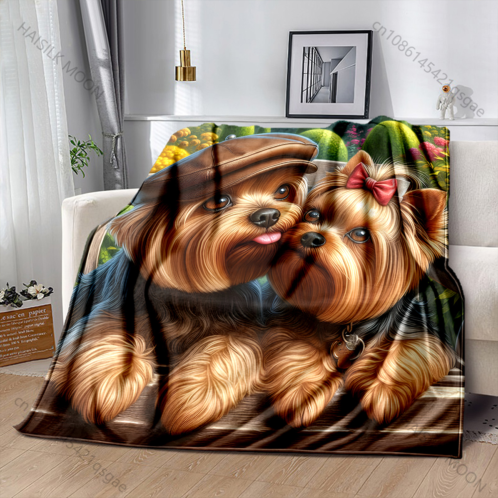Two Yorkshire Terriers in Love - Outdoor Kids Yorkshire avis et prix