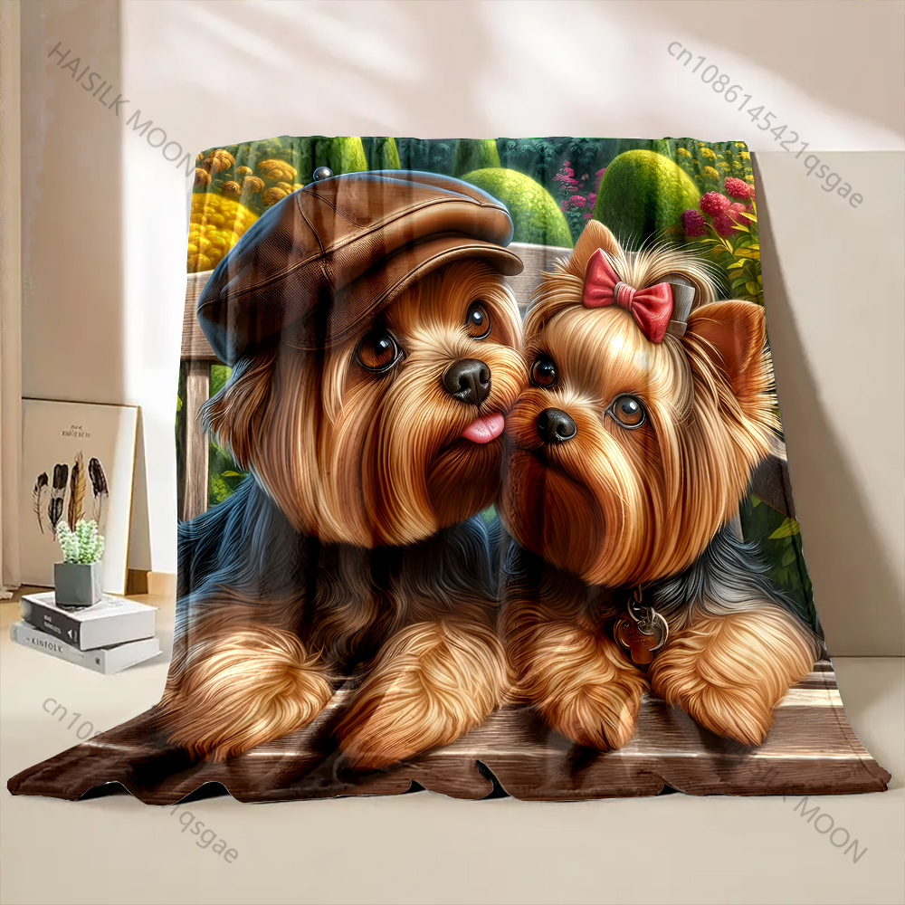 Two Yorkshire Terriers in Love - Outdoor Kids Yorkshire avis et prix