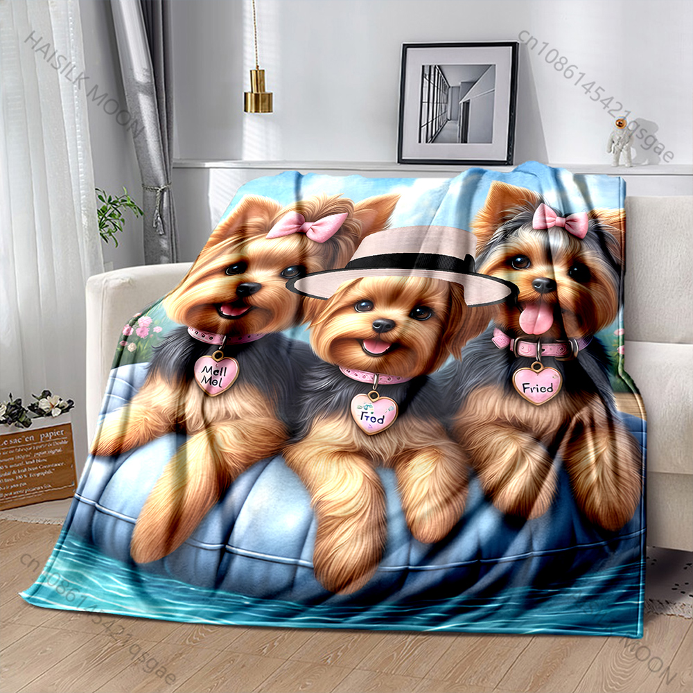 Cute 3 Yorkshire Terriers Blan - Outdoor Kids Yorkshire avis et prix