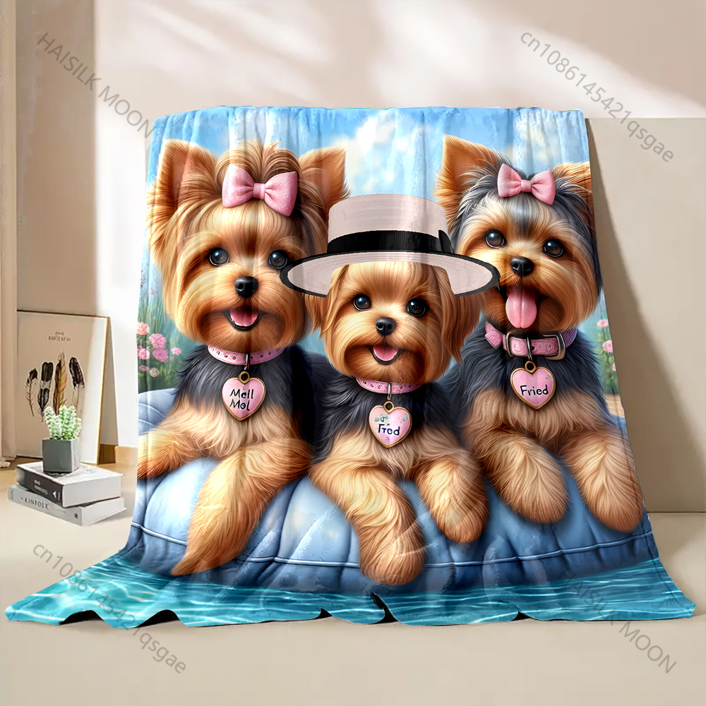Cute 3 Yorkshire Terriers Blan - Outdoor Kids Yorkshire avis et prix