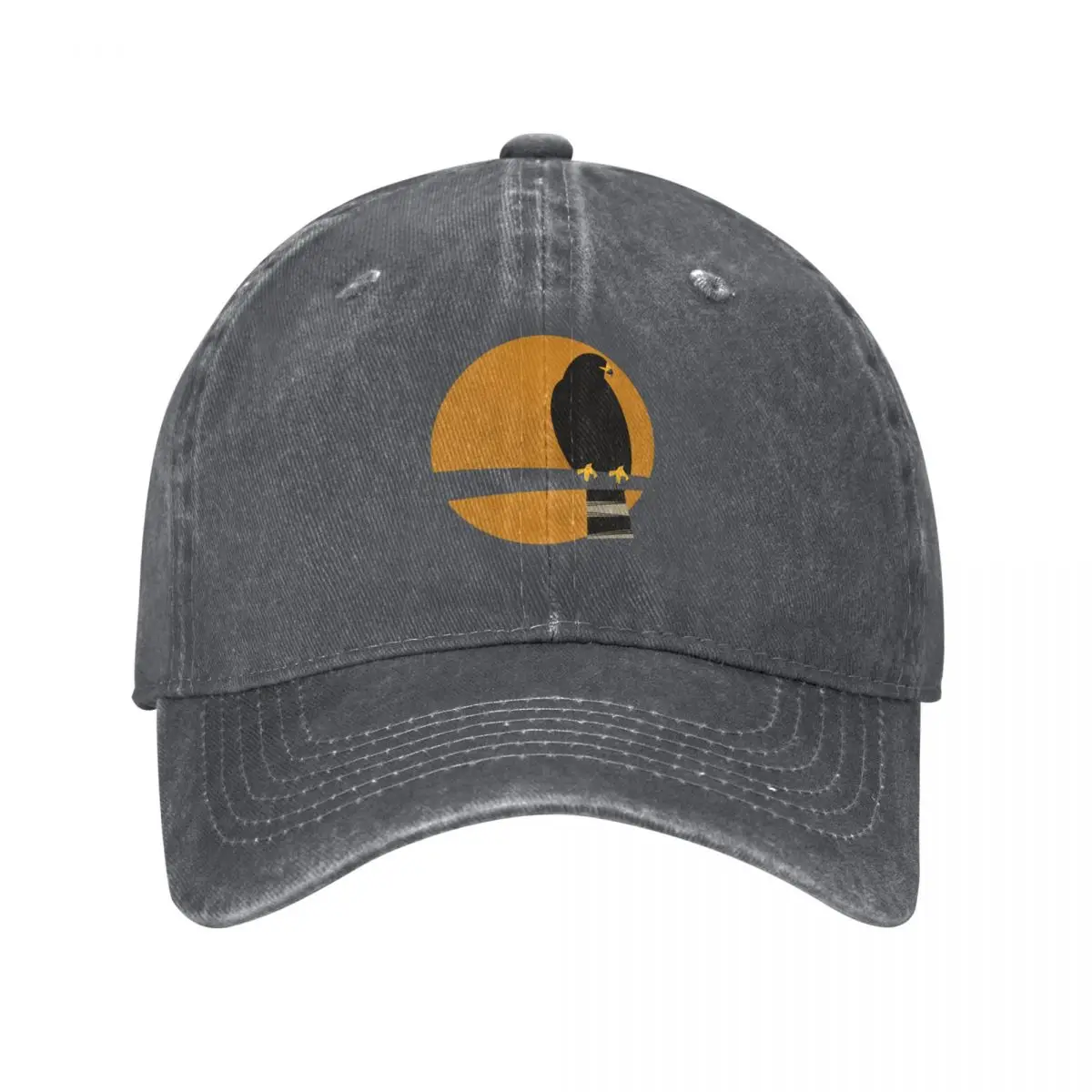 Zone-tailed Hawk (Buteo albono - Kids Outdoor Zone avis et prix